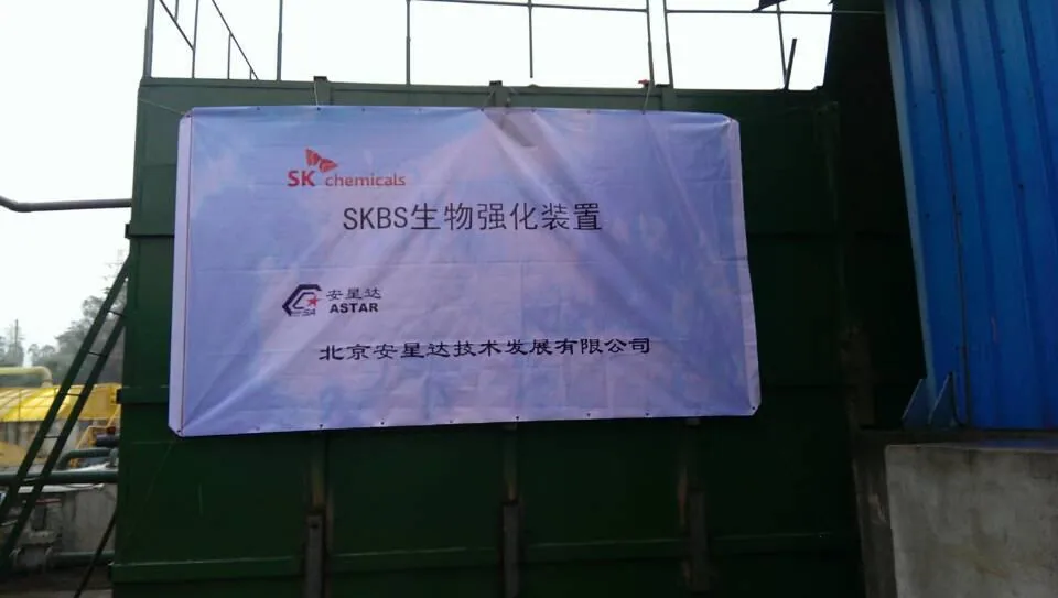 公司领导视察荆门石化中试项目